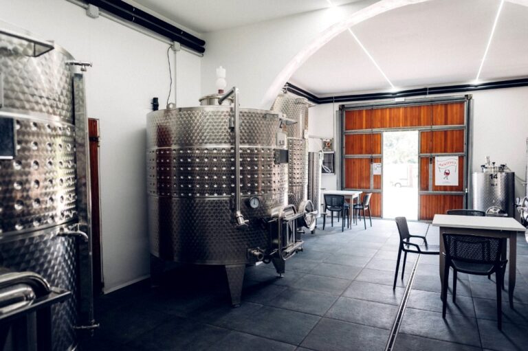 Guided visit to the cellar with Arianna & Friends