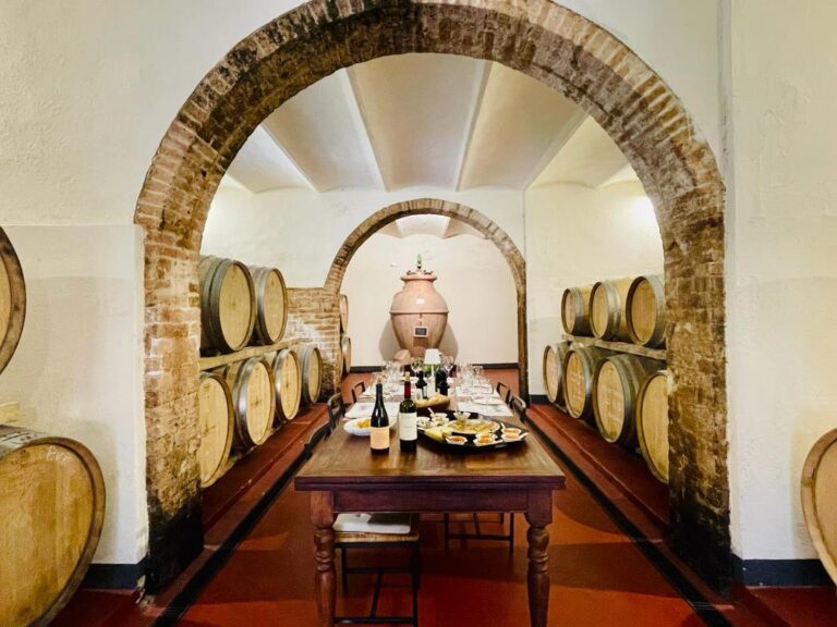Wine tasting experience at Tenuta di Ghizzano