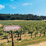 Podere Pellicciano and Arianna & Friends organize a wonderful wine event in May 2024