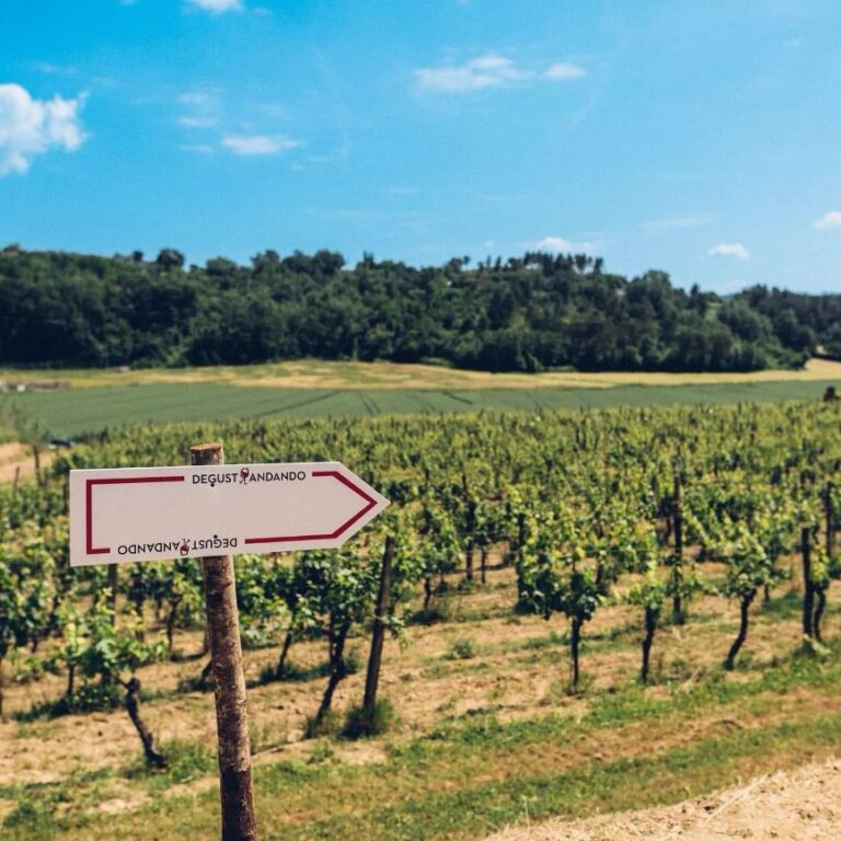 Podere Pellicciano and Arianna & Friends organize a wonderful wine event in May 2024
