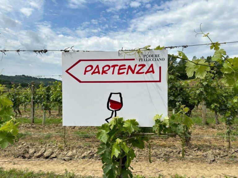 San Miniato wine event in May