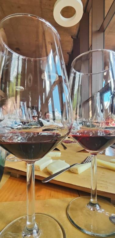 Wine tour in Terricciola district