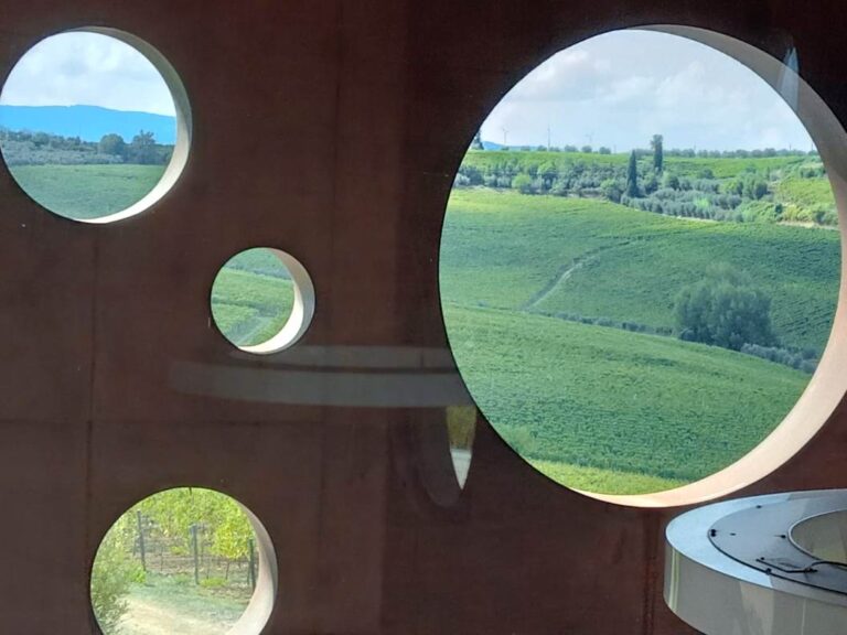 Wine activity for groups