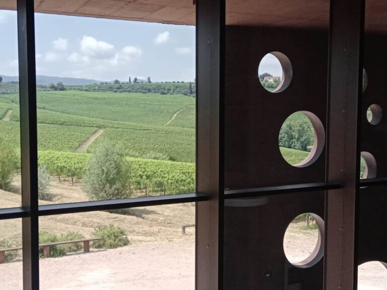 Wine tasting