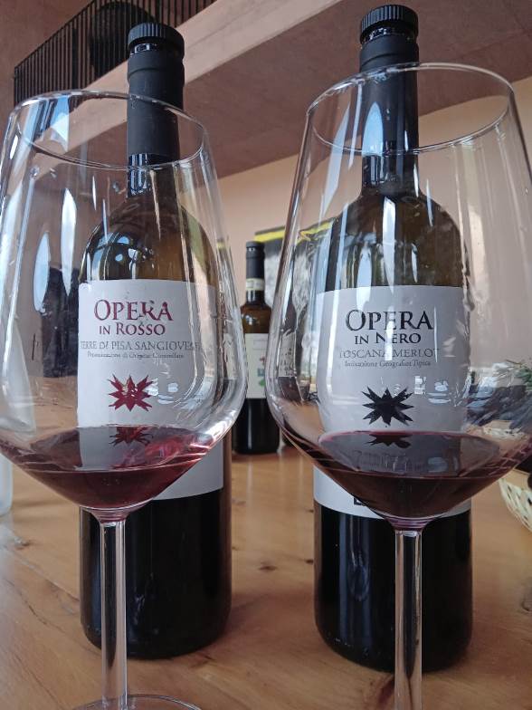 Wine tour in Tuscany