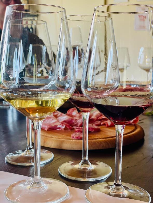 Guided tasting at Badia di Morrona