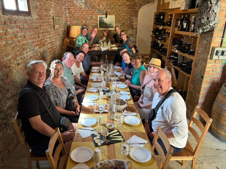 Private guided tour to the Terricciola wine district