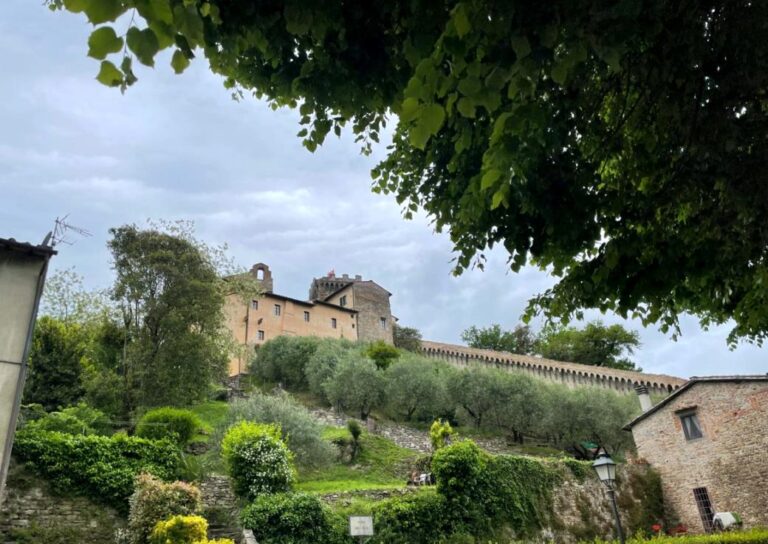 Walking guided tour to Vicopisano