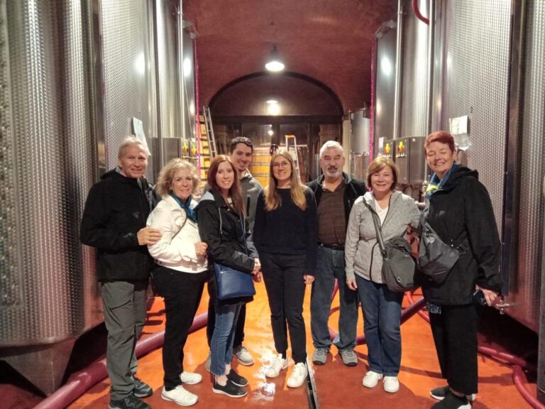 Bolgheri wine tour