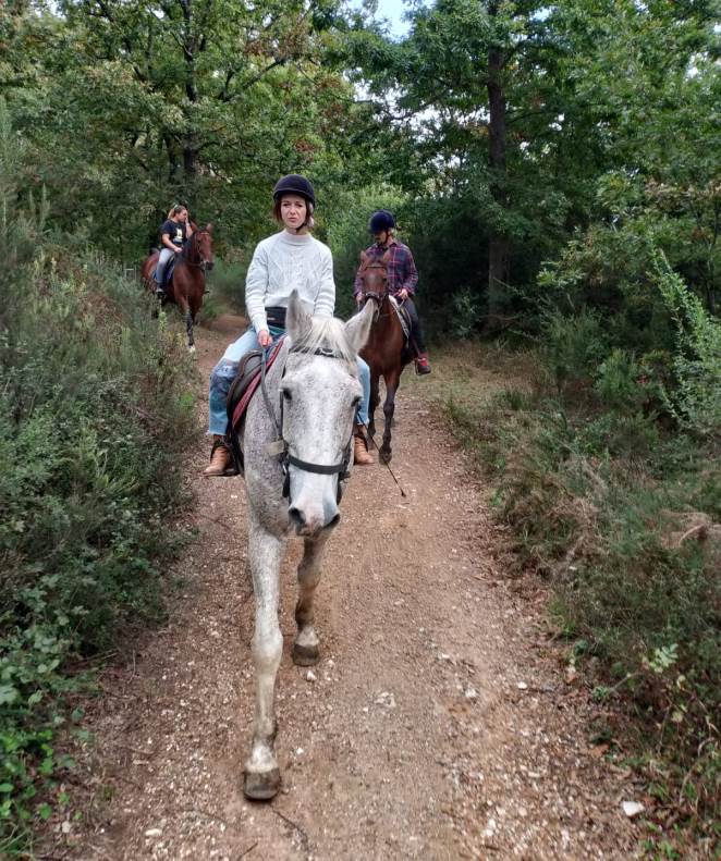 Walk with a horse in the Tuscan countryside