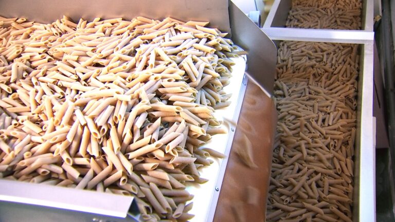 Typical dry penne from Morelli company