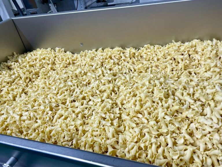 The maltagliati shaped pasta made at the pasta company in San Romano