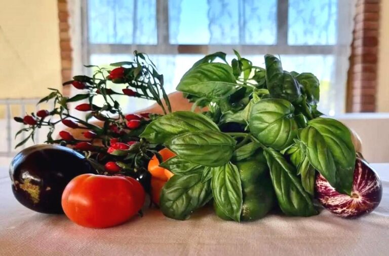 Fresh caprese