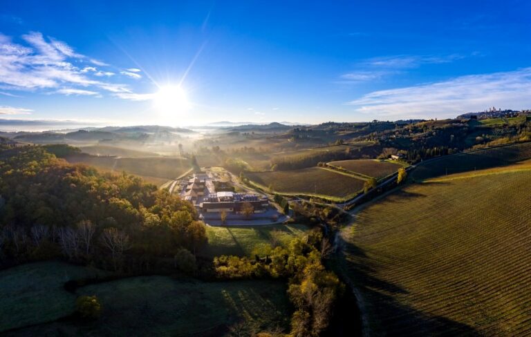 Wine tour in San Gimignano with tasting of typical products