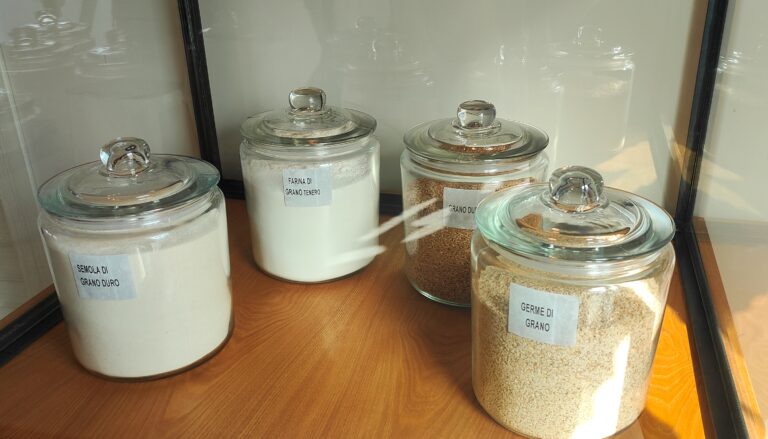 Typical flours for the pasta company