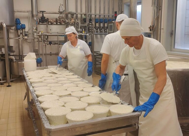 Ricotta making experience at caseificio Busti near Lorenzana