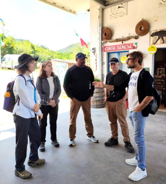 Olive farm tour near Chianni