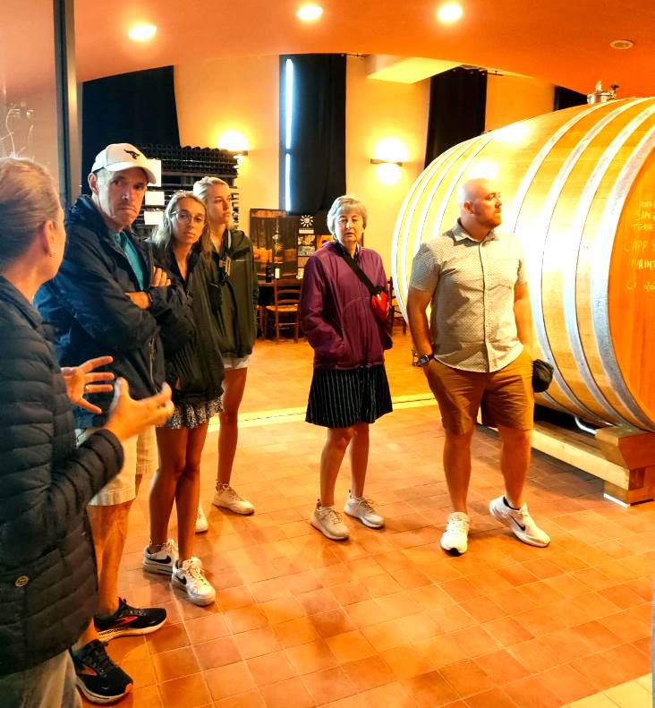 Wine tasting experience at local winery