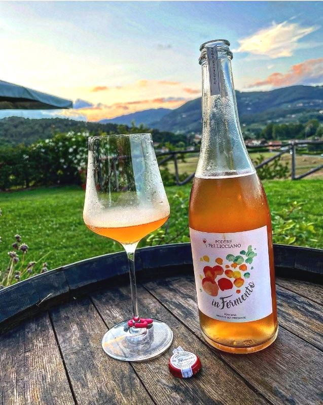 Wine tasting tour in san Miniato