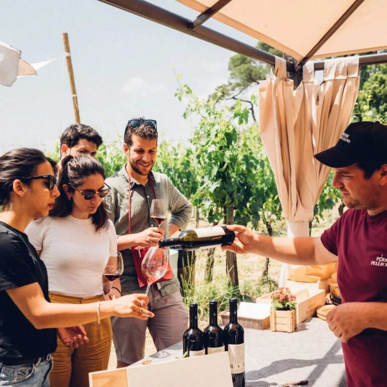 Wine experience at podere Pellicciano
