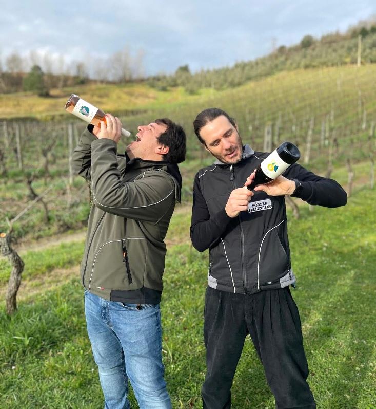Walk in the vineyard at the winery near San Miniato