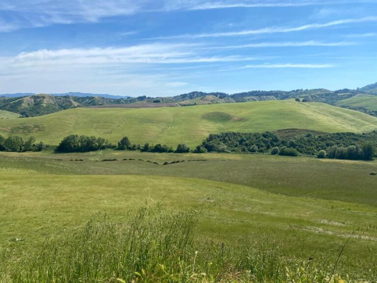 Green hills around the town of Voltera