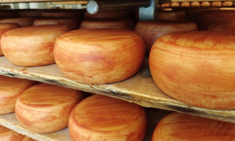 Cheese ageig cellars for the best cheese