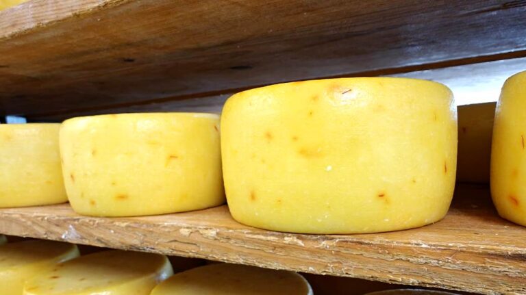 Extra virgin olive oil covering the cheese rind
