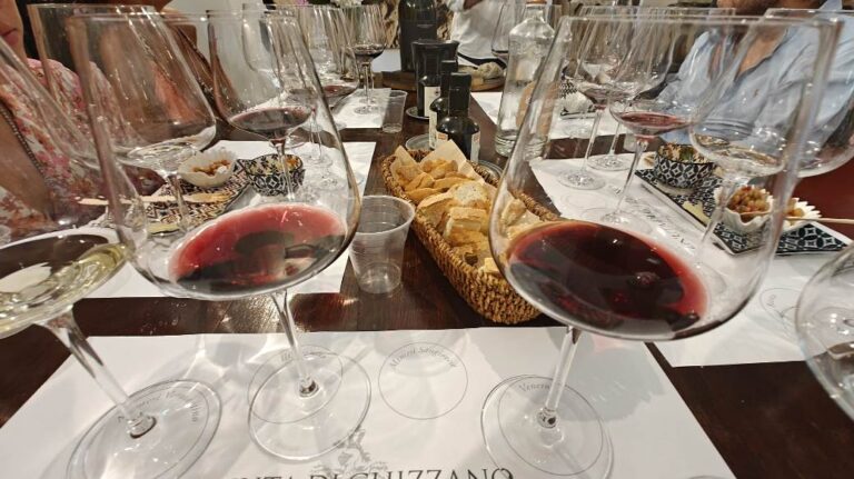 The best red wines served during the visit to the Ghizzano estate