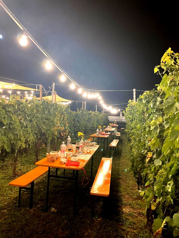 Dinner with wine tasting at tempranillo wine festival