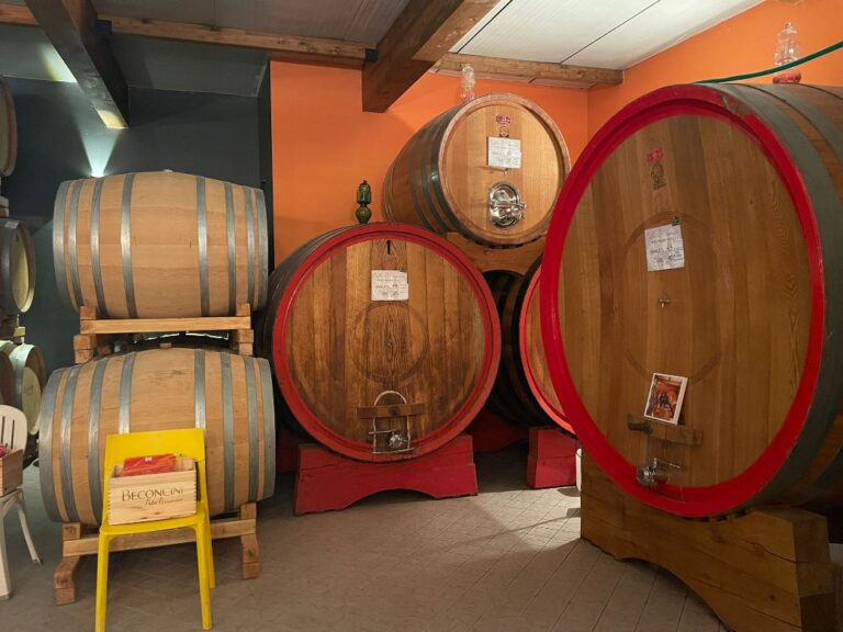 Barrels room at the winery near San Miniato