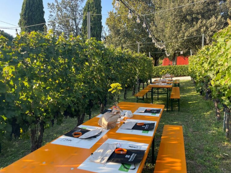 Visit the very famous winery Beconini in San Miniato with the Arianna & Friends staff