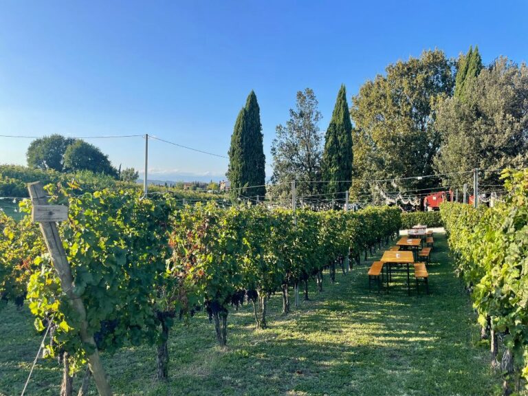 A truly special night arranged at the winery in San Miniato