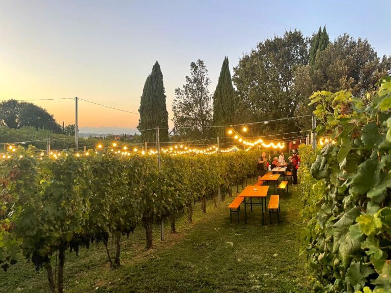 Dinner al fresco at the winery near San Miniato