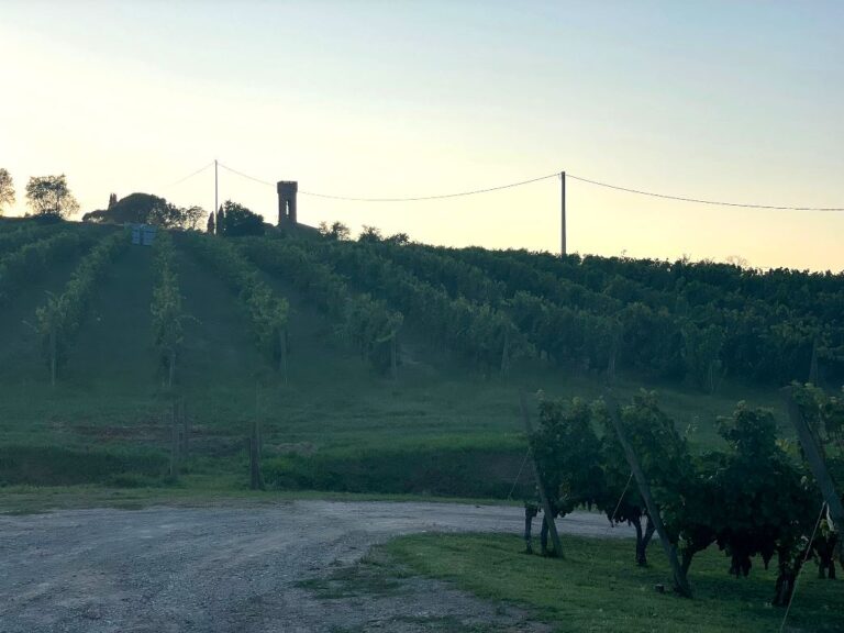 Wine event in San Miniato