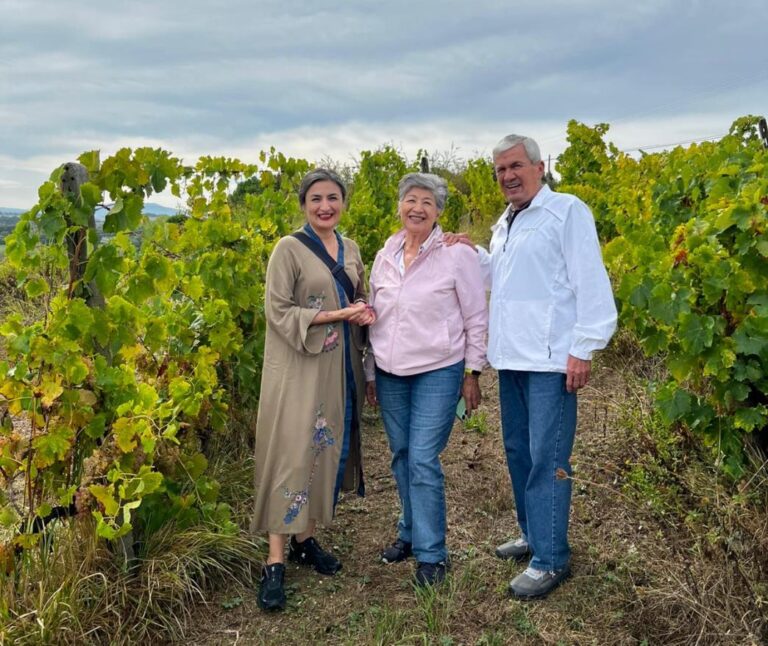 Guide visit to the vineyard with Arianna & Friends staff