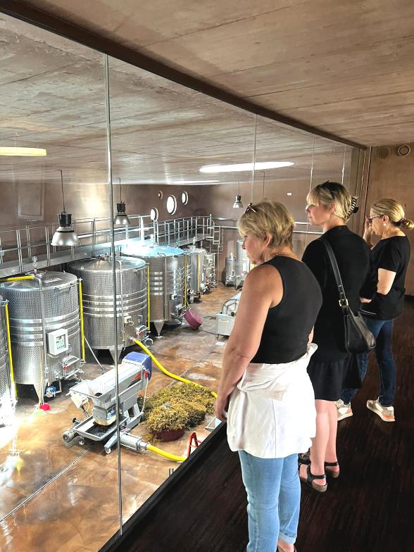 Wine and art at the winery near casanova