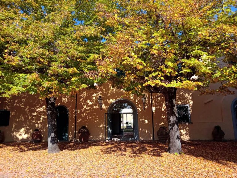 Visit to the abbey in Terricciola with wine and olive oil tasting