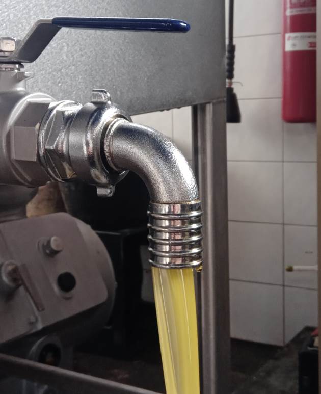 The olive oil experience