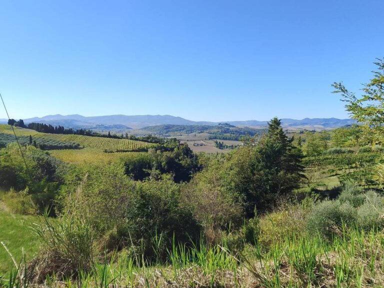 During our e-bike experience we reach the best destinations around the Volterra area