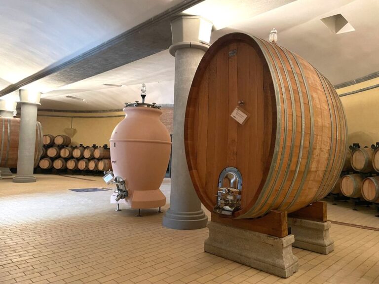 Anfora in cocciopesto and the big botte