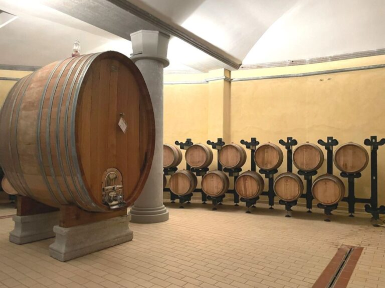 Guided visit to the winery of Badia di Morrona