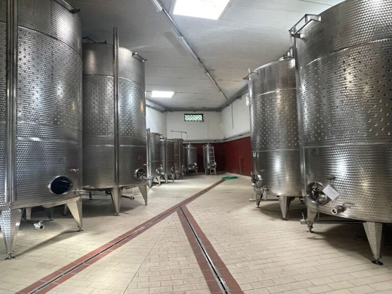 Badia di Morrona makes wonderful red and white wines