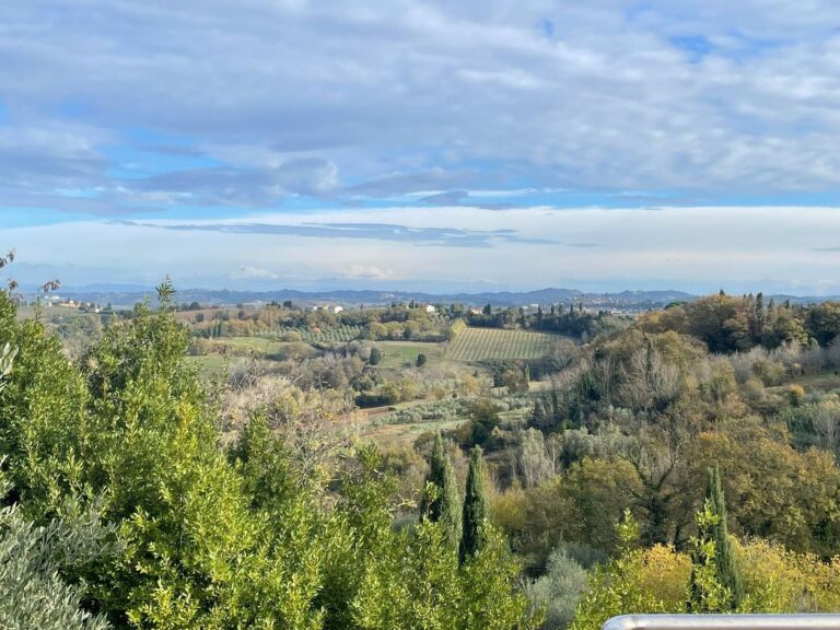 Typical Tuscan landscape caractherized by evergreen trees