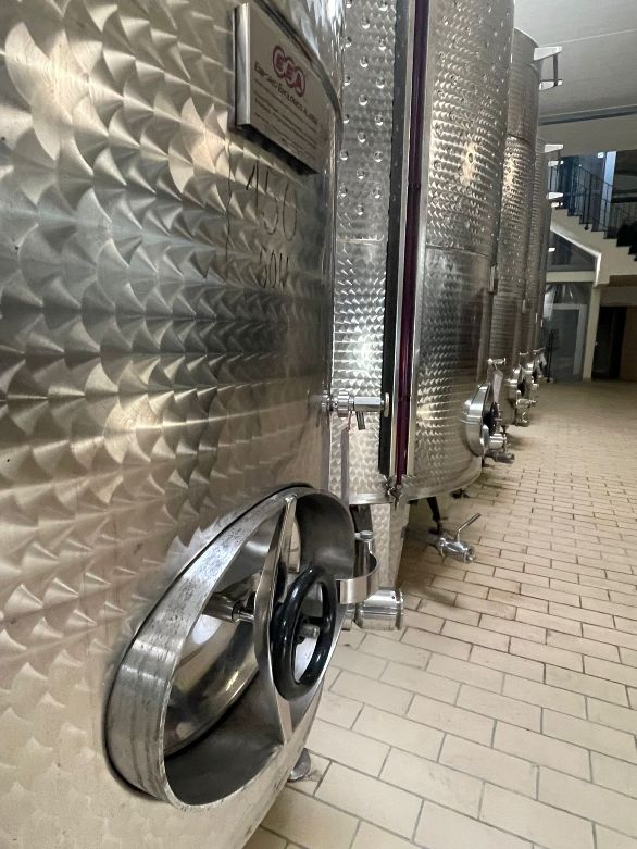 The wines are fermenting in steel vats