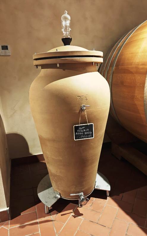 Ciliegiolo wine ageing in anfora