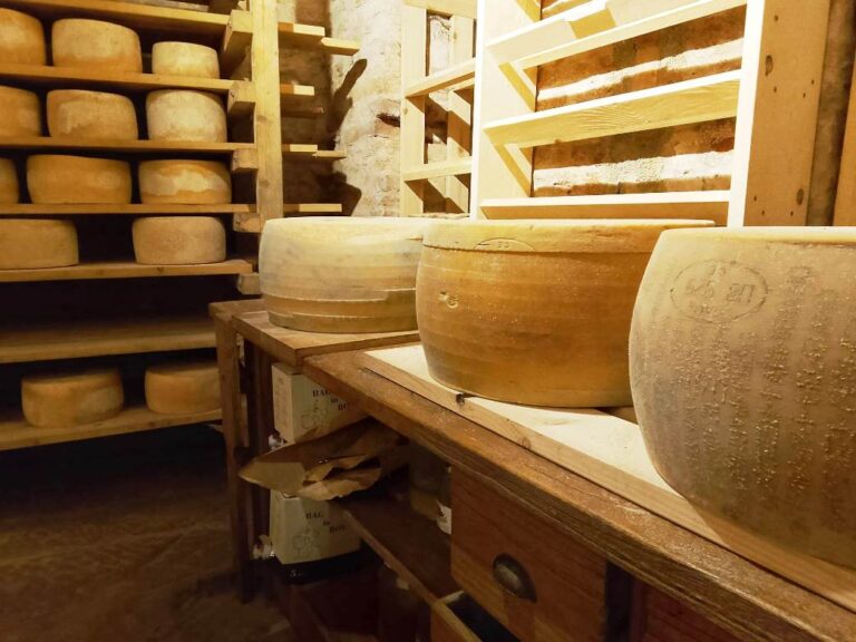 Cheese experience