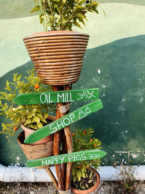 Olive oil mill for private olive oil tour