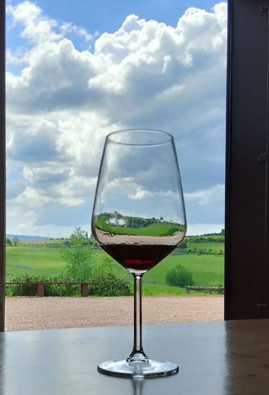 Guided visit to the winery near Terricciola