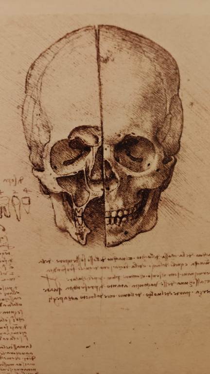 Museum of Vinci